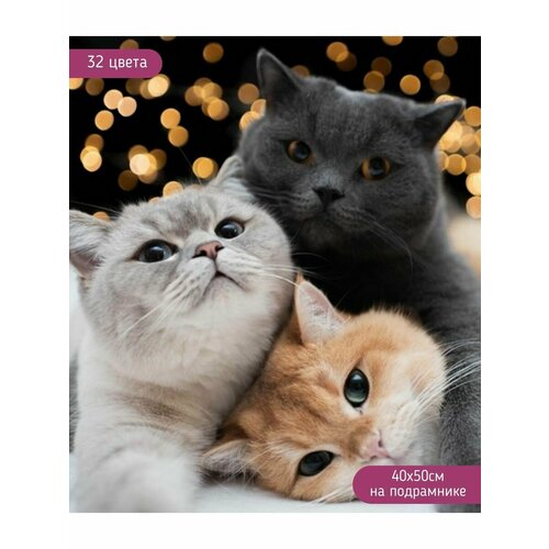 Алмазная мозаика на подрамнике 40х50 