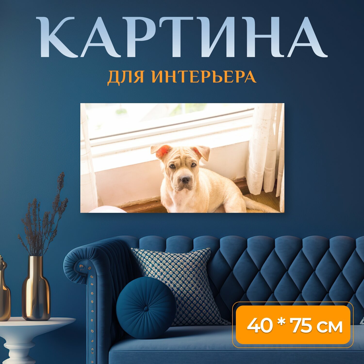 Картина на холсте "Собака домашний питомец дом" на подрамнике 75х40 см. для интерьера