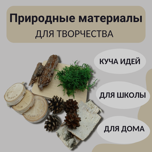 Набор для творчества Woodilettante 