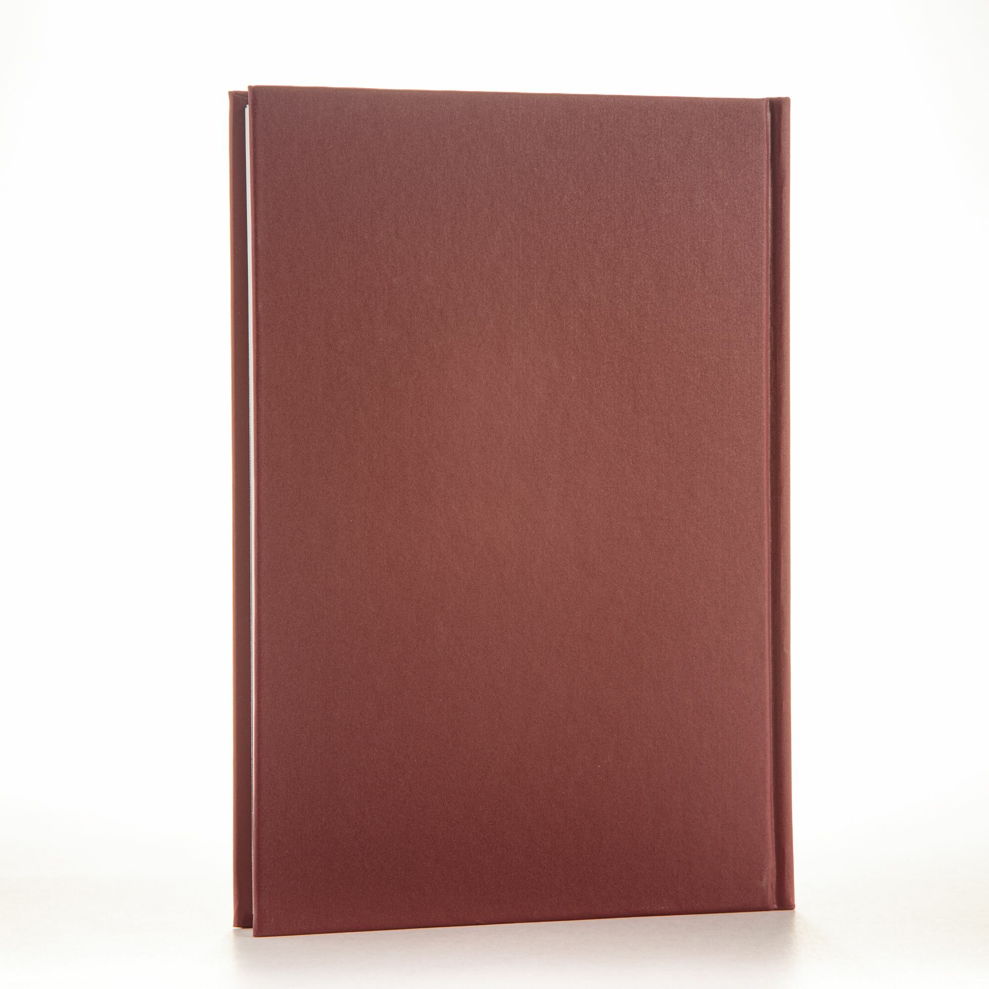 Миротворец Александр III и его время — фото 1