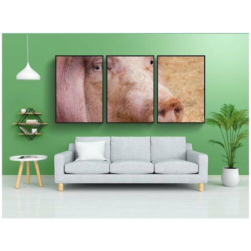 фото Набор модулных постеров для интерьера "сельское хозяйство, животное, одомашненный" 60x90 см. в тубусе, без рамки lotsprints