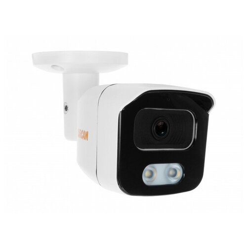 IP-камера видеонаблюдения CARCAM CAM-2662PL 499000₽