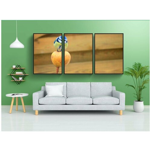 фото Набор модулных постеров для интерьера "синица, лазоревка, птица" 60x90 см. в тубусе, без рамки lotsprints