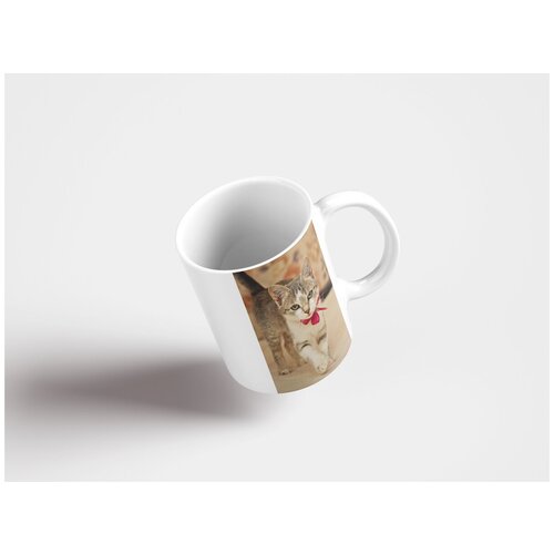 фото Кружка "кот, котёнок, домашнее животное 320 мл. белая" lotsprints