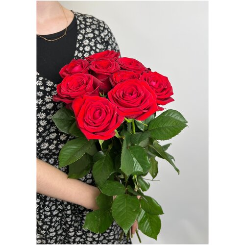 Розы красные 9 шт