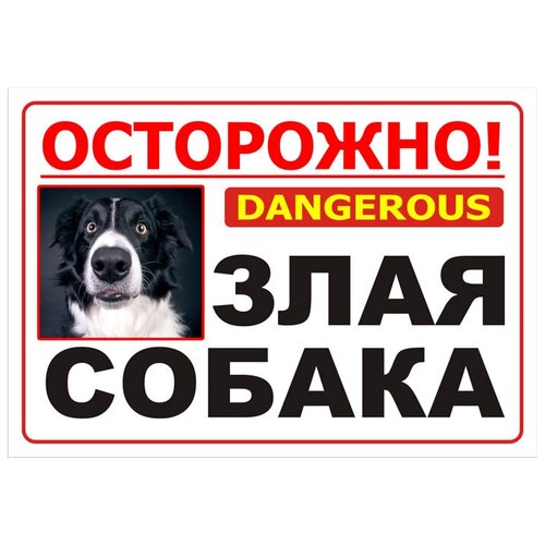 Табличка Осторожно! Злая собака 30х21см 1 шт информационная табличка злая собака на забор или ворота
