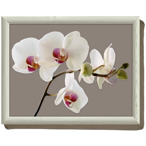 фото Поднос с подушкой гармония орхидей 44х34 см creative tops