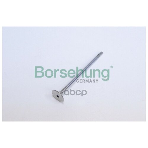 BORSEHUNG B19007 клапан выпускной