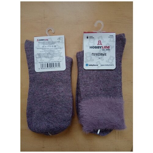 Носки HOBBY LINE, размер 36-40, фиолетовый носки hobby line размер 40 фиолетовый