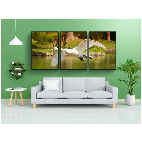 фото Набор модулных постеров для интерьера "лебедь, водоплавающая птица, летающий" 60x90 см. в тубусе, без рамки lotsprints