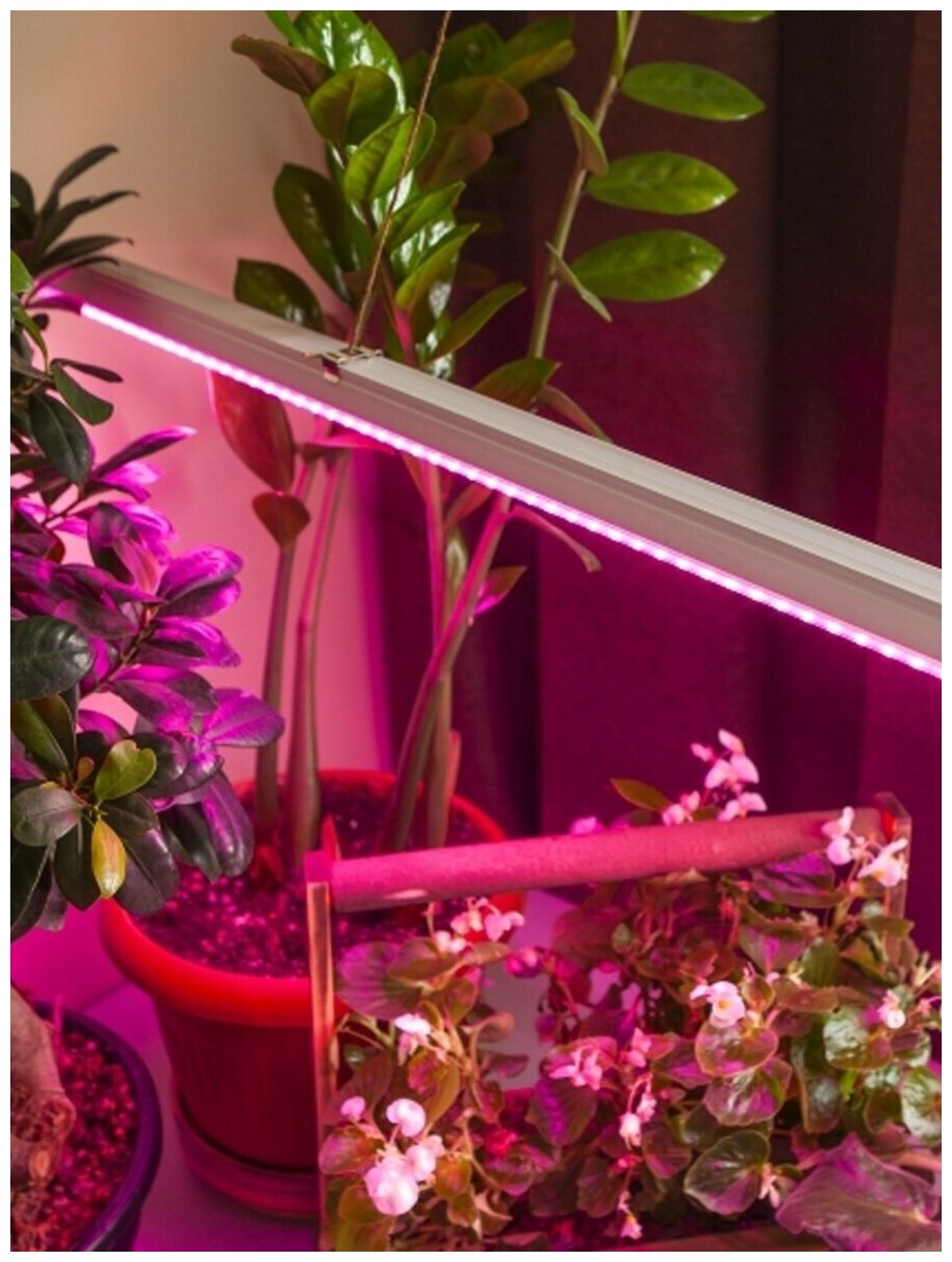 Светильник Uniel Мини-сад светодиодный, 572 мм, 10 Вт, 2 кашпо, свет светло-розовый, цвет корпуса белый, для рассады и домашних растений - фотография № 4