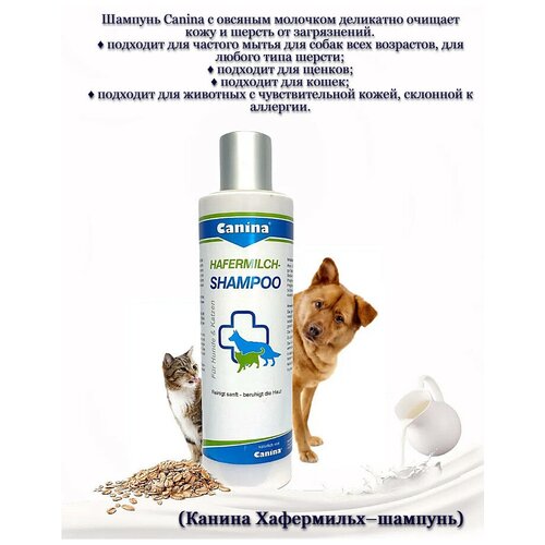 Canina Hafermilch-Shampoo шампунь для животных с овсяным молоком 250 мл (1 шт)