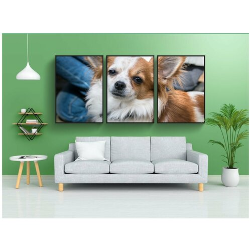 фото Набор модулных постеров для интерьера "чиуауа, собака, чивава" 60x90 см. в тубусе, без рамки lotsprints