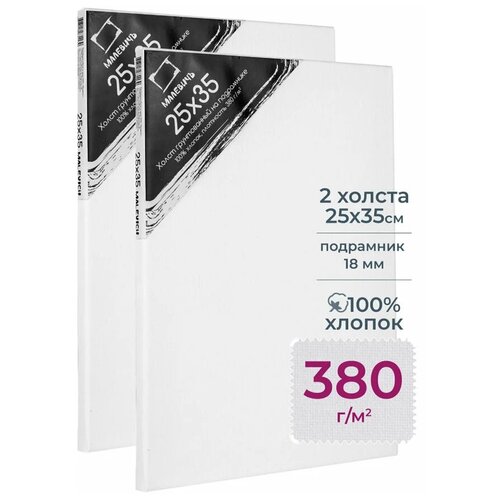 Набор холстов Малевичъ на подрамнике 25х35 см (212536) 2 шт. 2 шт. 35 см 25 см