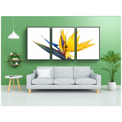 фото Набор модулных постеров для интерьера "хвостатые, цветок, райская птица цветок" 60x90 см. в тубусе, без рамки lotsprints