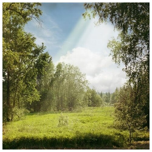 Постер на холсте Летний день (Summer's day) №3 40см. x 40см.