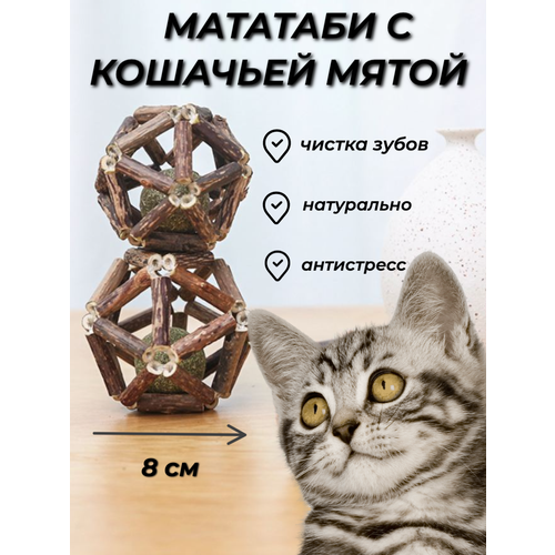 Шарик кошачья мята с мататаби, игрушка антистресс, шарик с мятой и палочками мататаби большой 8 см