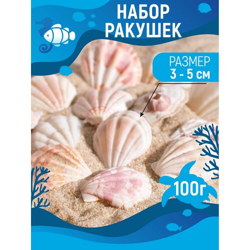 Набор ракушек для аквариума, 4 - 5 см, 100 г