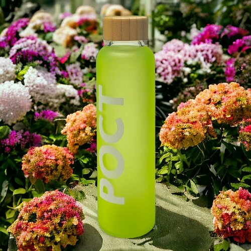 Стеклянная бутылка с бамбуковой крышкой Foggy 600 мл зеленое яблоко РОСТ 699₽