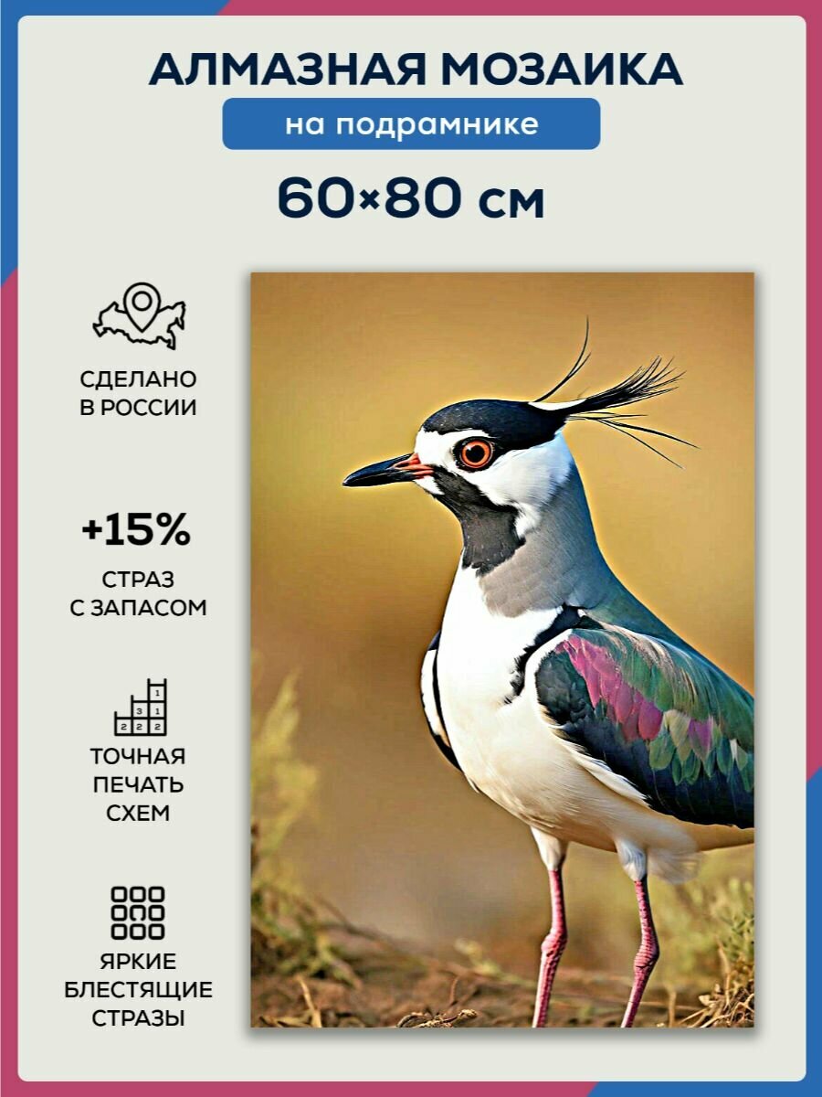 Алмазная мозаика 60x80 Чибис на подрамнике