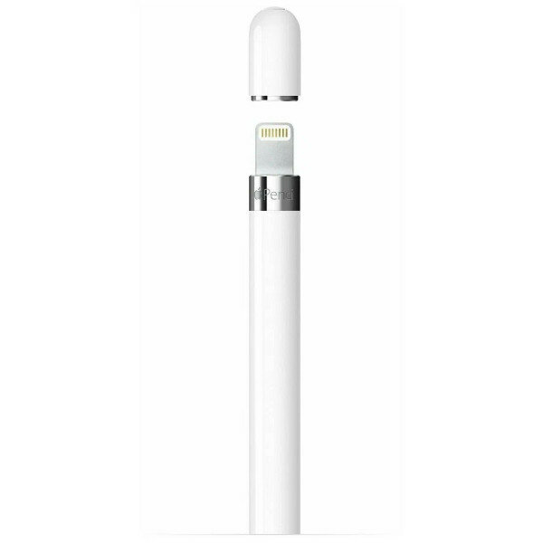 Стилус Apple Pencil (1-го поколения) с USB-C to Apple Pencil адаптером (MQLY3) — фото 1
