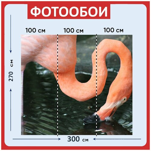 Фотообои Фламенко птица оранжевый 300x270 см флизелиновыена стену 3980₽