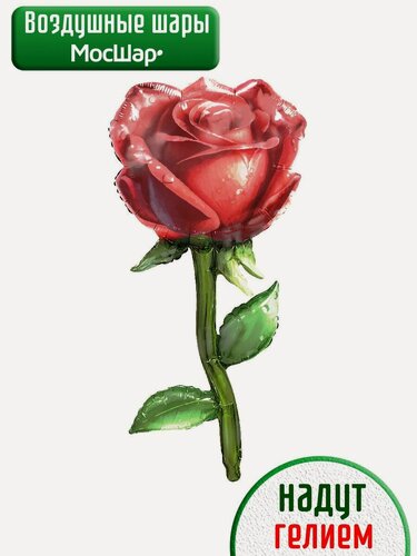 Изображение товара Воздушные шары с гелием, фольгированный шар Роза