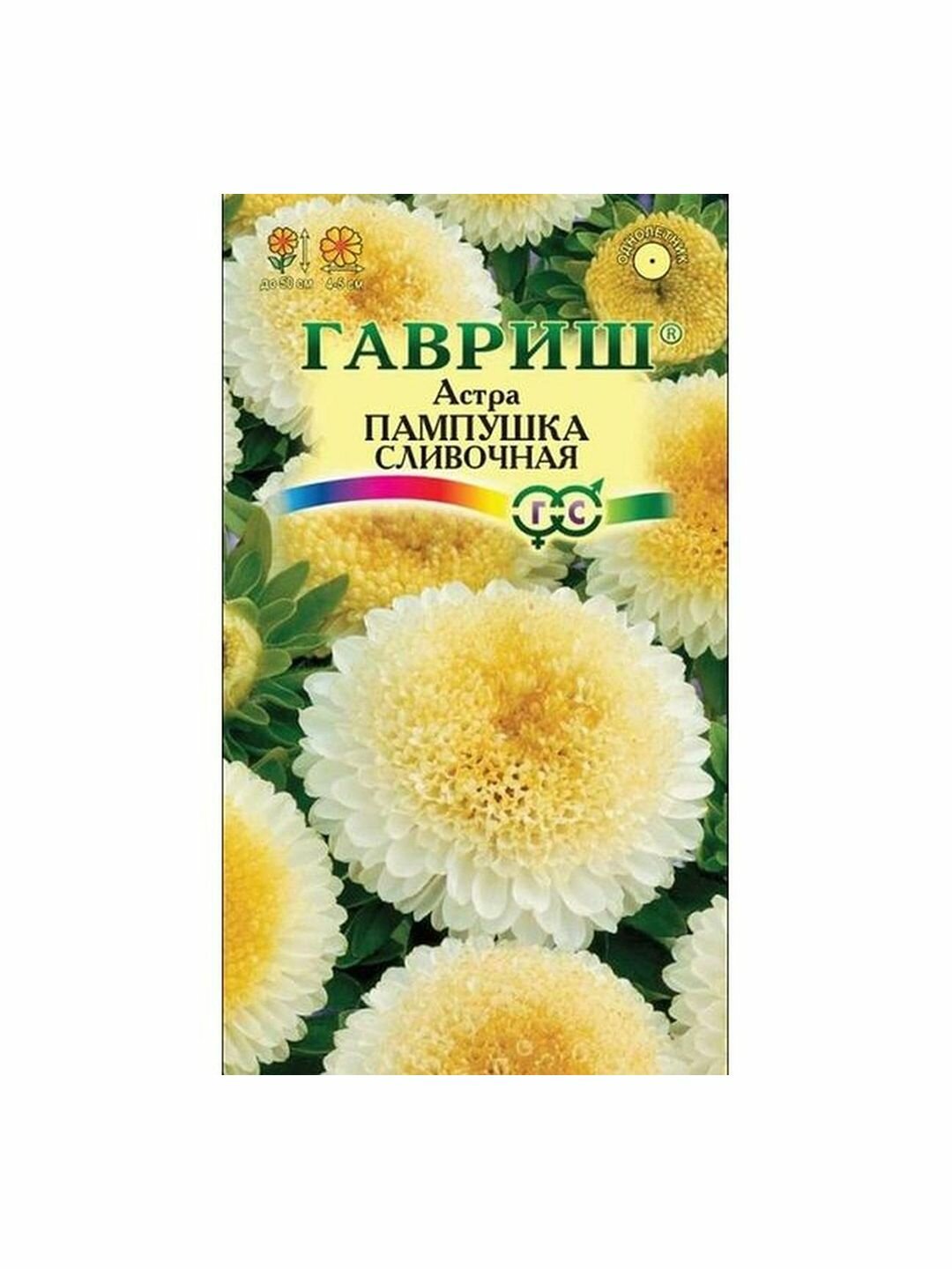 Семена Астра Пампушка сливочная однолетник цветной пакет Гавриш 1 пачка - 0.3г семян