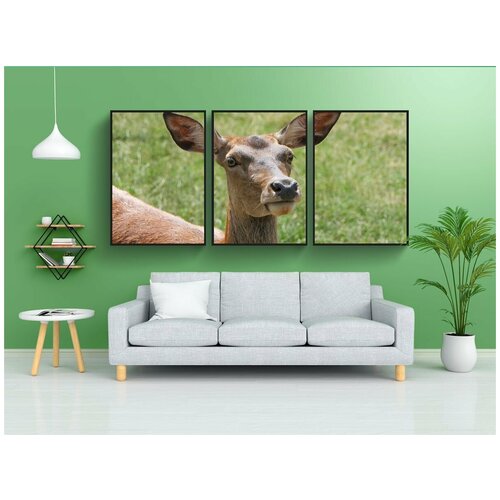 фото Набор модулных постеров для интерьера "олень, дикий, дикое животное" 60x90 см. в тубусе, без рамки lotsprints