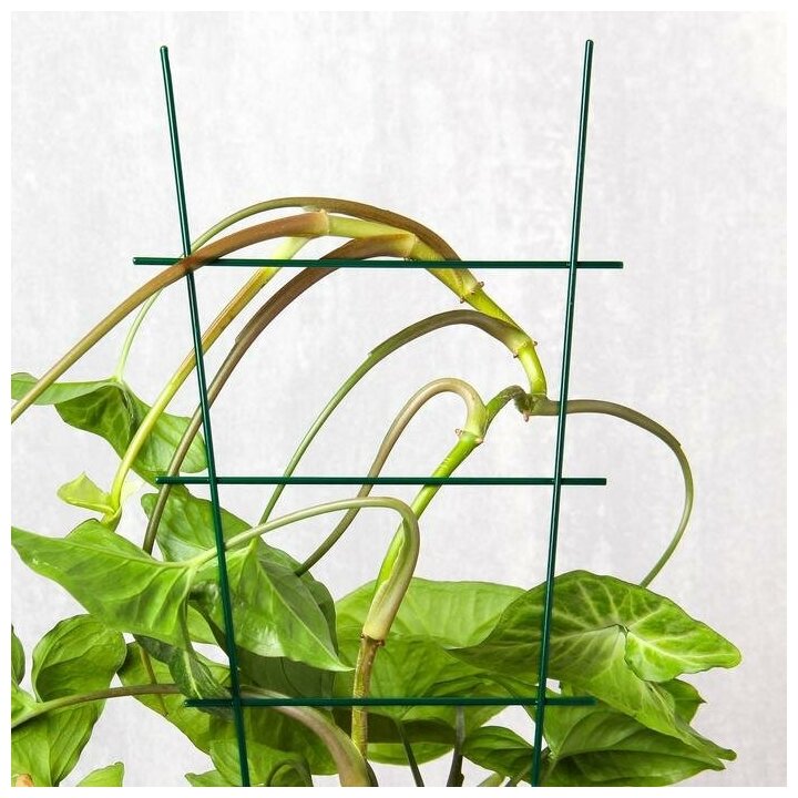 Шпалера, 40 × 20 × 0.3 см, металл, зелёная, «Лесенка» - фотография № 3