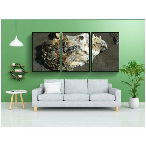 фото Набор модулных постеров для интерьера "тихоокеанская устрица, устрица, оболочка" 60x90 см. в тубусе, без рамки lotsprints