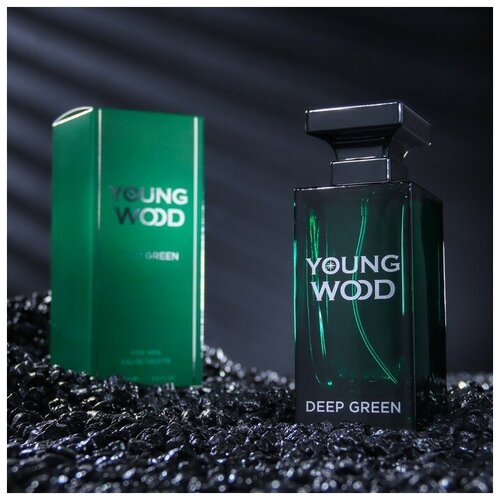 Young Wood Туалетная вода мужская Young Wood Deep Green 100 мл 2514₽