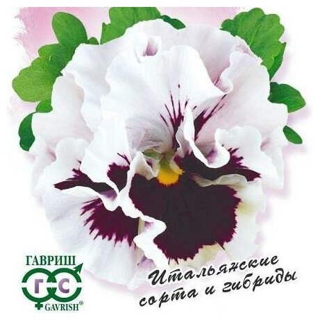 Семена цветов Гавриш Виола виттрока "Фламенко белая" F1, 10 шт