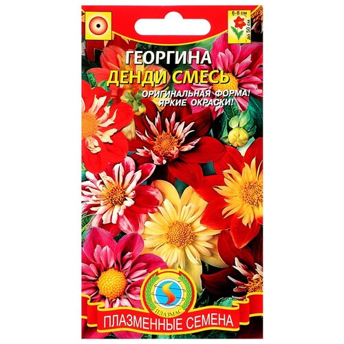Семена цветов Георгина Денди, О. 12 шт георгина денди 0 1 гр