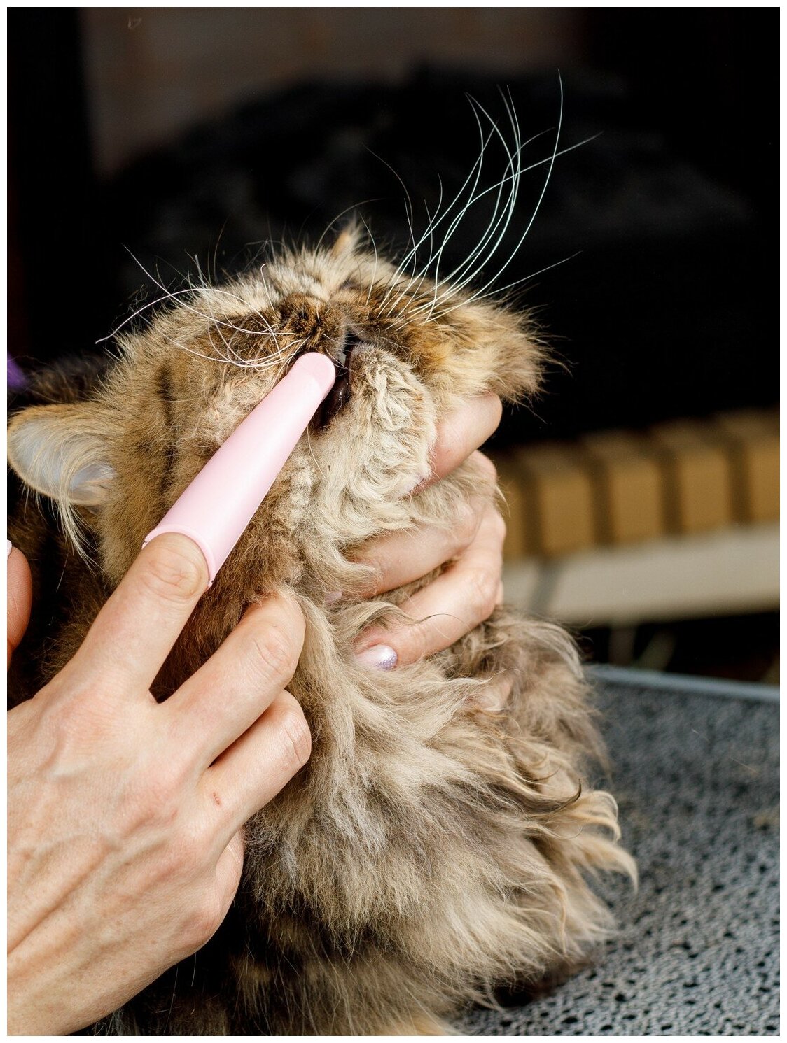 Japan Premium Pet Зубная щетка анатомическая силиконовая для мелких собак и кошек - фотография № 16