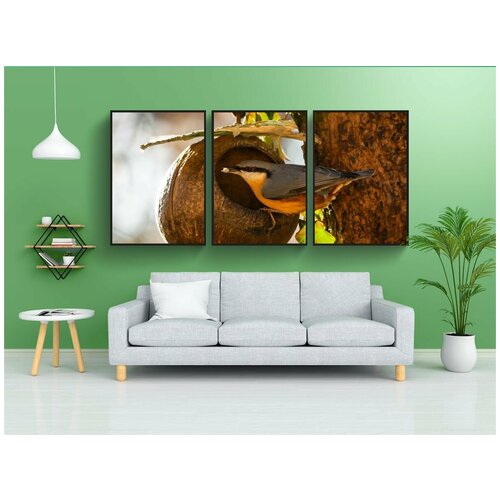 фото Набор модулных постеров для интерьера "животные, птица, поползень" 60x90 см. в тубусе, без рамки lotsprints