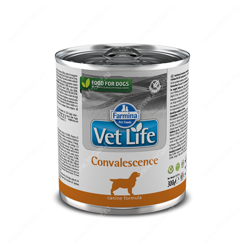 Консервы Farmina Vet Life Convalescence Dog - 300 г