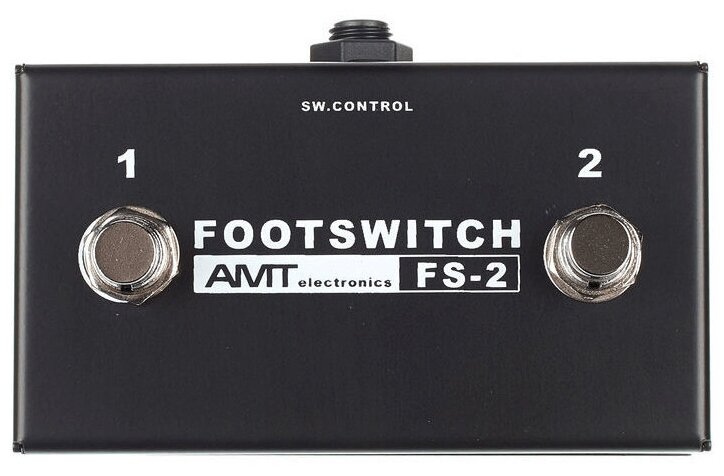   -  , AMT Electronics FS-2