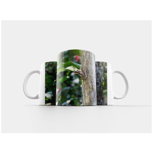 фото Кружка "лягушка, дерево, зеленый" 320 мл lotsprints