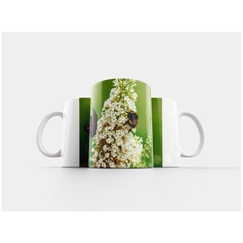 фото Кружка "пчела, бабочка, природа" 320 мл lotsprints