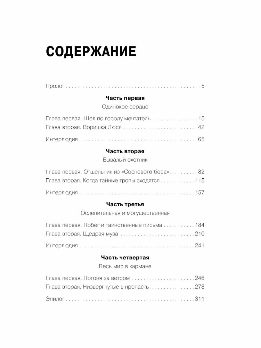 Лилит. Огненная душа куклы (Артур Гедеон) - фото №17