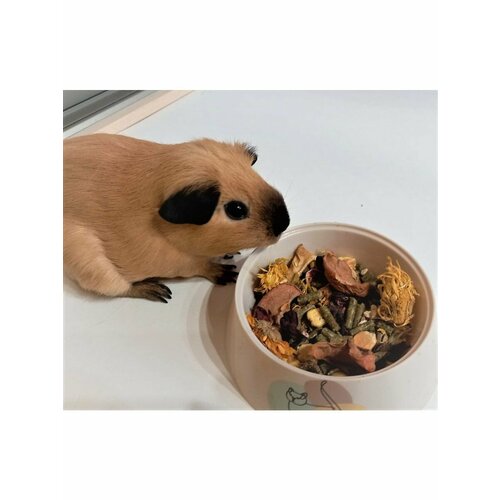 Корм Vegetable Balance ГОСТ 32897-2014 680₽