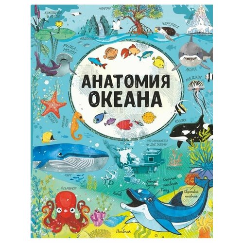 Анатомия океана 844₽