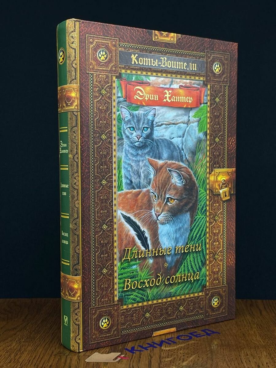 Книга Коты-воители. Длинные тени. Восход солнца - фото №4