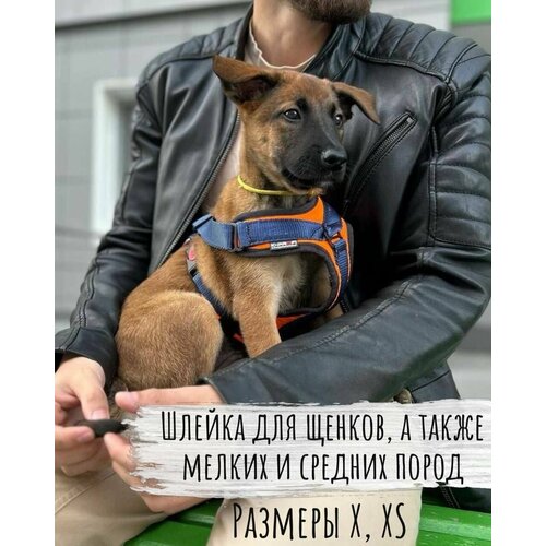 Шлейка анатомическая для мелких и средних пород