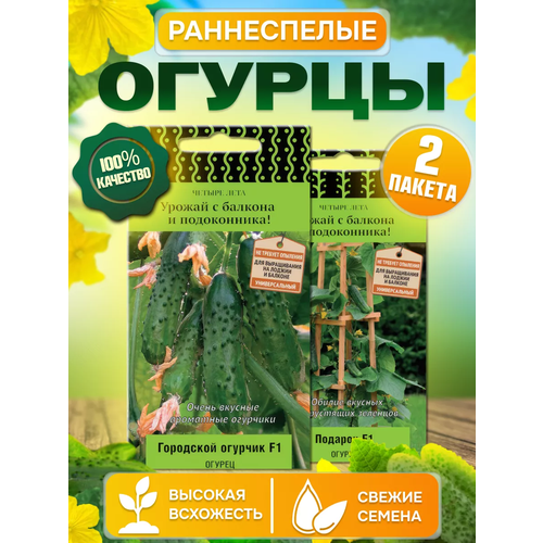 Поиск / Набор семян балконный рай: огурец, выращивание дома, в контейнере, на подоконнике, 2 сорта