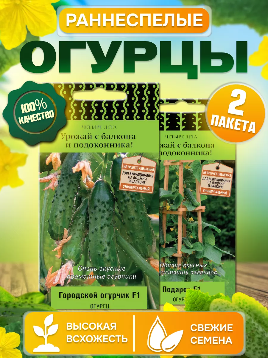 Поиск / Набор семян балконный рай: огурец, выращивание дома, в контейнере, на подоконнике, 2 сорта