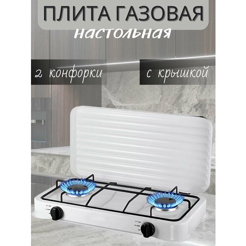 Газовая настольная плита 310000₽