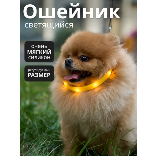 Светящийся светодиодный ошейник для собак, с USB зарядкой