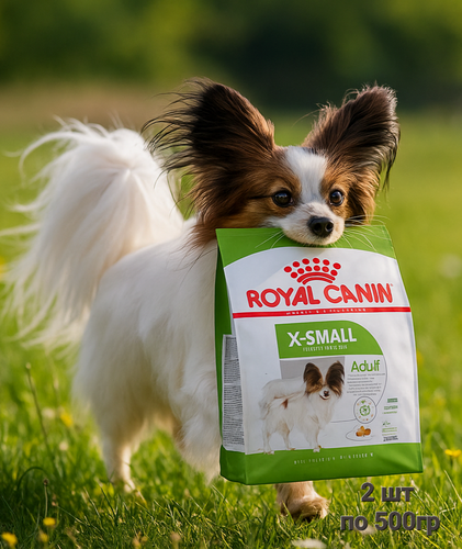 Изображение товара Сухой корм Royal Canin "X-Small Adult", для собак, мелких пород, 500 гр 2шт